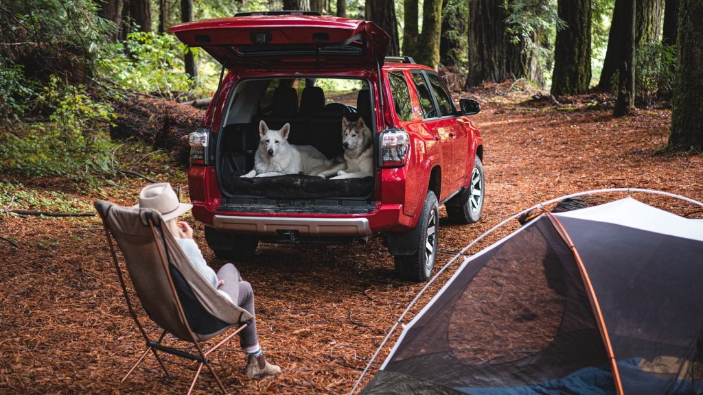 camping scenery of toyota 4runner with two dogs inside, woman sitting on the chair and a tent