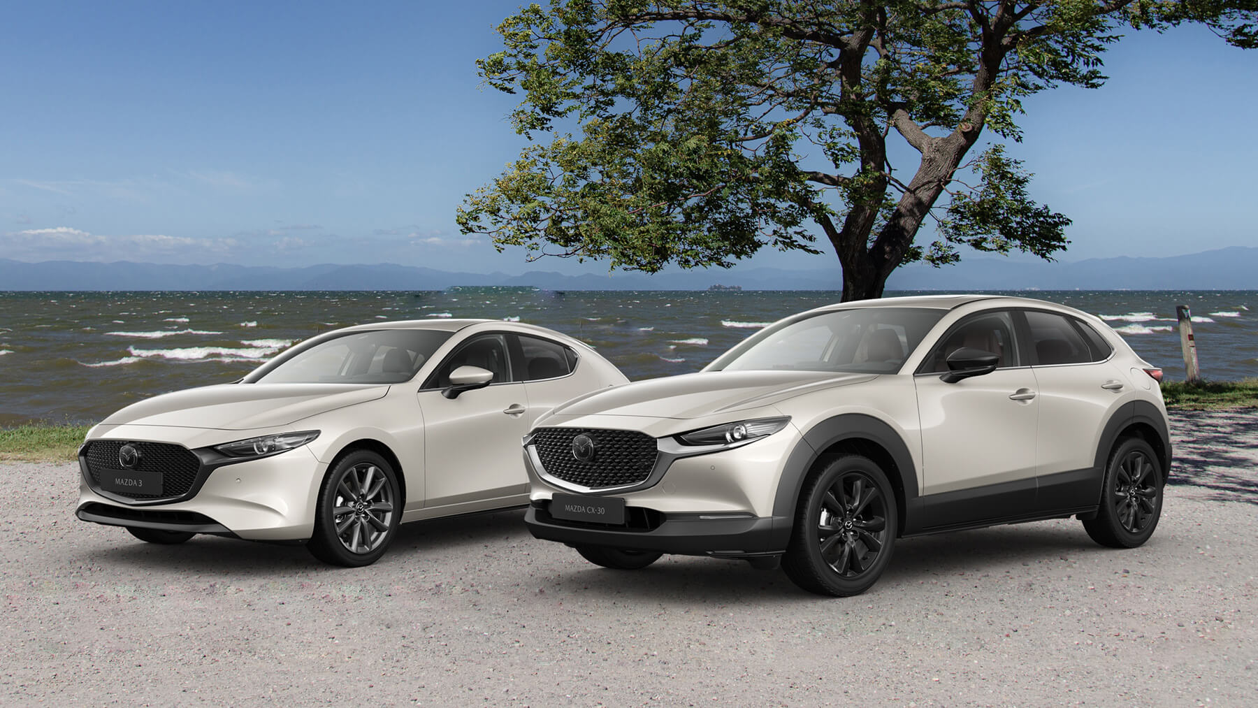 mazda hybrid suv cars on the top of the hill